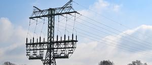 Ein Strommast steht mit Brandspuren auf einem Feld nahe der Tesla-Autofabrik.