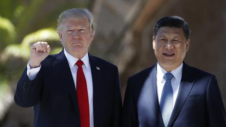 Donald Trump, damals Präsident der USA, und Chinas Staatschef Xi Jinping 2017 in Palm Beach.