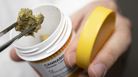 Cannabisblüten für medizinische Zwecke werden von mehreren Anbietern in Deutschland produziert und vermarktet.