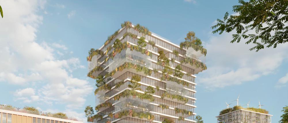 Früher Entwurf eines  Hochhauses am Berliner Thälmannpark.