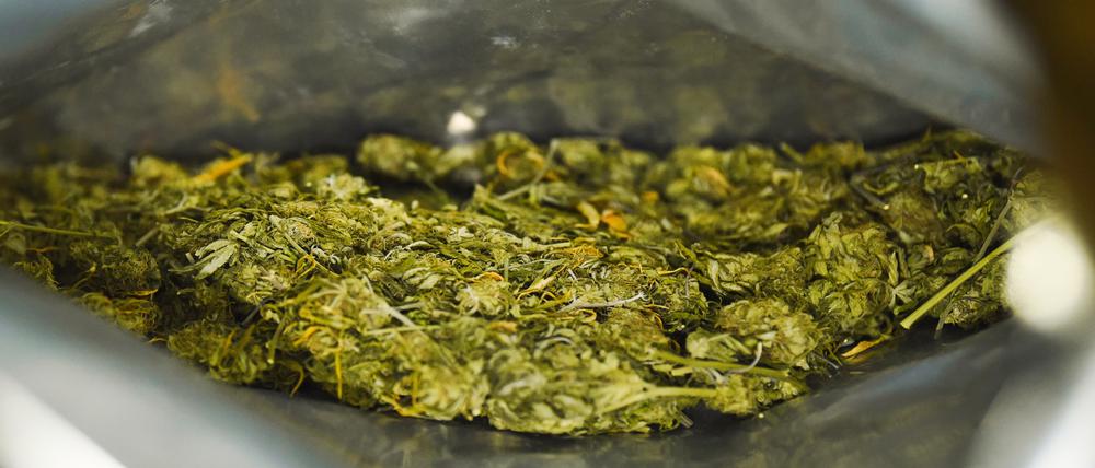 Sichergestelltes Marihuana ist an einer Kontrollstelle der Polizei an der A93 zu sehen. 