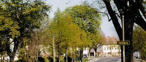 Falkenberger Ortseingang am Anfang der Dorfstraße.