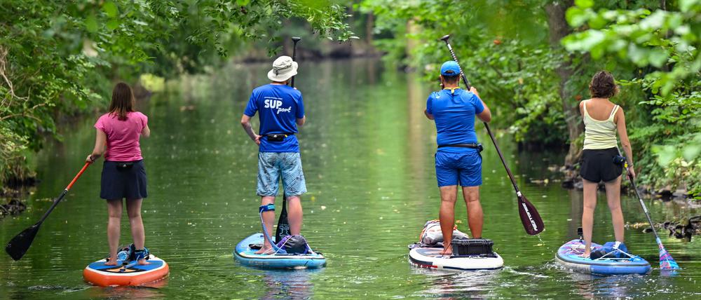 ARCHIV - 20.08.2023, Brandenburg, Burg: Personen sind auf Stand-up Paddle Boards auf einem Fließ (Wasserweg) im Spreewald unterwegs. (zu dpa: «Berliner Bezirke schicken Jugendliche auch in die Ferne») Foto: Patrick Pleul/dpa +++ dpa-Bildfunk +++