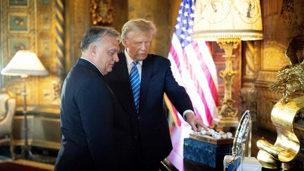 Donald Trump mit Viktor Orban.