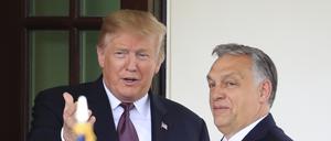 Donald Trump (l), damaliger Präsident der USA, begrüßt Viktor Orban, Ministerpräsident von Ungarn, im Januar 2022 am Weißen Haus. 