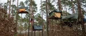10.03.2024, Brandenburg, Grünheide: Aktivisten stehen in einem Waldstück nahe der Tesla Fabrik und bauen mit Baumhäusern ein Protestcamp auf. Das Protestcamp richtet sich gegen eine geplante Erweiterung des Tesla-Werksgeländes in einem Waldgebiet nahe der Fabrik. Foto: Christophe Gateau/dpa +++ dpa-Bildfunk +++