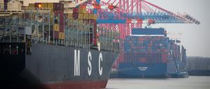 Zwei Containerschiffe liegen am Terminal Eurogate im Hamburger Hafen.
