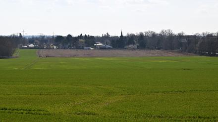 Auf der Pilotfläche im Nordosten Marquardts sollen Wohnungen entstehen.