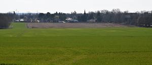 Auf der Pilotfläche im Nordosten Marquardts sollen Wohnungen entstehen.