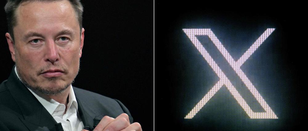 X-Inhaber Elon Musk