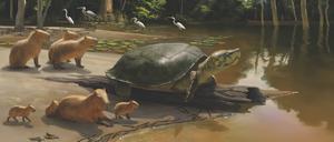 Riesenschildkröte mit Riesenmeerschweinchen, oder besser: Capybaras, die ein Gewicht von 75 Kilogramm erreichen. (Visualisierung)