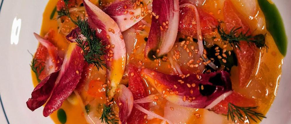 Hamachi mit Blutorangen und Chicoree