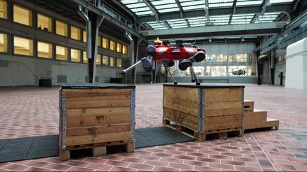 Ein großer Schritt für einen Roboter