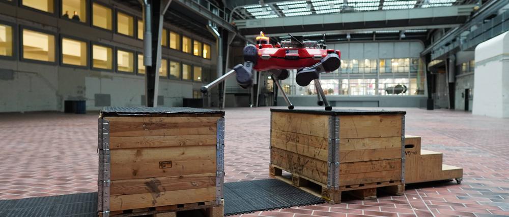 Ein großer Schritt für einen Roboter