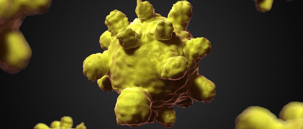 Measles virus.