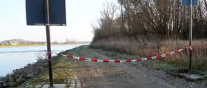 Am Rheindamm bei Hockenheim wurde die Leiche einer Frau gefunden.