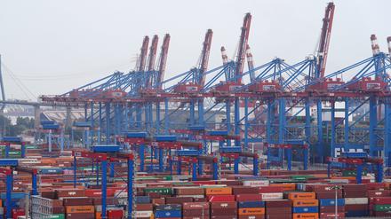 Container stehen im Hamburger Hafen.