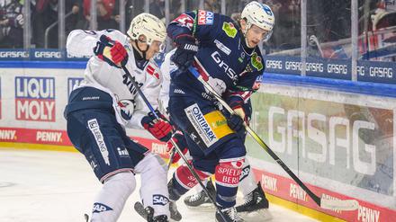 Eisbären-Stürmer Lean Bergmann (r.) trifft ab Sonntag auf seine Mannheimer Ex-Kollegen.