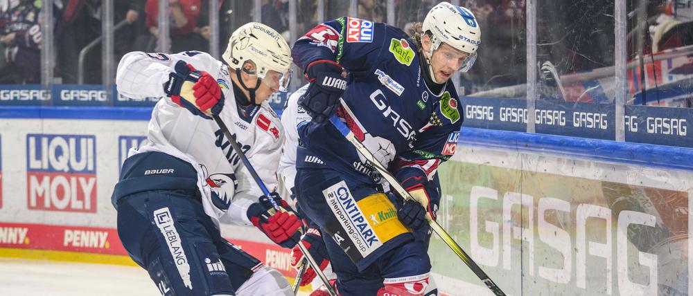 Eisbären-Stürmer Lean Bergmann (r.) trifft ab Sonntag auf seine Mannheimer Ex-Kollegen.