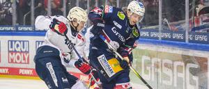 Eisbären-Stürmer Lean Bergmann (r.) trifft ab Sonntag auf seine Mannheimer Ex-Kollegen.