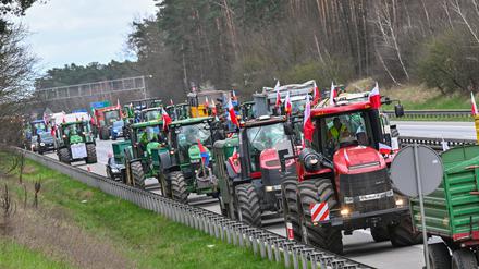 17.03.2024, Polen, Slubice: Landwirte aus Polen sind auf der Autostrada A2 (Europastraße 30) mit ihren Fahrzeugen in Richtung deutsch-polnische Grenze unterwegs. Bauernproteste haben zu erheblichen Verkehrsbehinderungen im Grenzgebiet um Frankfurt (Oder) geführt. Die seit Wochen anhaltenden Proteste polnischer Bauern richten sich gegen die EU-Agrarpolitik, aber auch gegen die Einfuhr günstiger Agrarprodukte aus der Ukraine. Foto: Patrick Pleul/dpa +++ dpa-Bildfunk +++