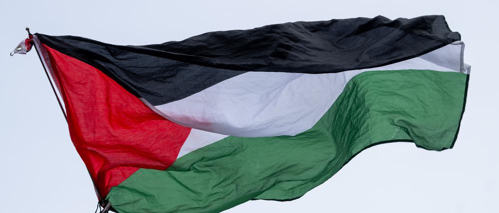 Die Flagge von Palästina wird bei einer propalästinensischen Kundgebung geschwenkt.