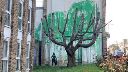 Auf eine Hauswand in der Hornsey Road in Finsbury Park, einem Stadtteil von London, wurde in großes Bild gemalt. Das Bild wurde hinter einen stark beschnittenen Baum gemalt und vermittelt den Eindruck, als würde der Baum Blätter tragen. Das Werk wird dem Straßenkünstler Banksy zugeschrieben.