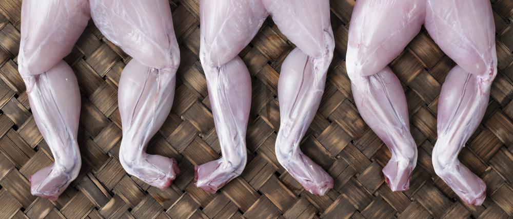 froschschenkel,haute cuisine *** frog legs,gourmet mpd-j2d