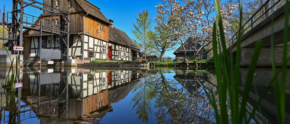 Der Spreewald ist ein beliebtes Ziel rund um die Osterfeiertage.