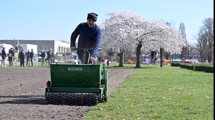 Für bunte Blüten im Sommer: Im Lustgarten wurden am Dienstag Wildblumensamen ausgebracht.