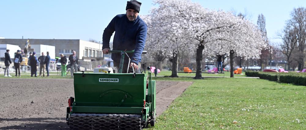 Für bunte Blüten im Sommer: Im Lustgarten wurden am Dienstag Wildblumensamen ausgebracht.