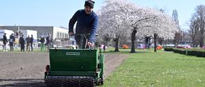Potsdam, 19.03.2024, Lokales, Blühfläche Lustgarten, Bluehfläche Lustgarten, Blumenwiese, Aus Rasen wird Blühfläche, Im Neuen Lustgarten, Neuer Lustgarten, Foto: Ottmar Winter PNN ACHTUNG: Foto ist ausschließlich für redaktionelle Berichterstattung der PNN und des TGSP! Eine kommerzielle Nutzung, z.B. Werbung, ist ausgeschlossen. Die Weitergabe an nicht autorisierte Dritte, insbesondere eine weitergehende Vermarktung über Bilddatenbanken, ist unzulässig.
