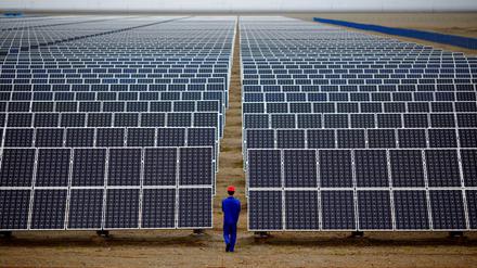 Sonnenfarm in China. Auch der deutsche Markt wird mit Solartechnik 
aus der Volksrepublik geflutet.