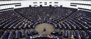 Anfang Juni werden die Mitglieder des Europäischen Parlaments neu gewählt. 