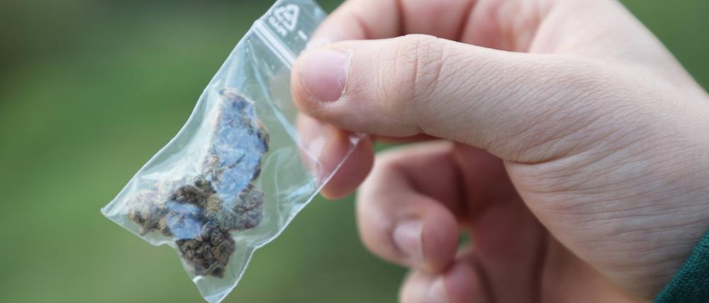Ein Männ hält ein kleines soganntes Baggy (durchsichtiger Zip-Beutel) mit gebrauchsfertigem Cannabis in der Hand.