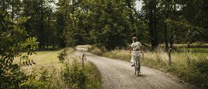 Auf einer Radtour von Lübben über Lübbenau nach Raddusch lässt sich viel über den Spreewald und seine kulinarischen Spezialitäten erfahren. Start und Ziel der Touren lassen sich von Berlin aus gut mit dem Zug erreichen.