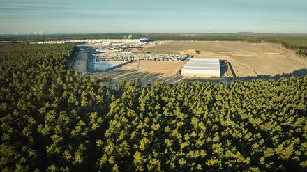 Blick auf ein Waldstück in der Nähe der Tesla-Gigafactory Berlin-Brandenburg, in dem sich das Protestcamp der Initiative «Tesla stoppen» befindet. 