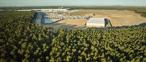 Blick auf ein Waldstück in der Nähe der Tesla-Gigafactory Berlin-Brandenburg, in dem sich das Protestcamp der Initiative «Tesla stoppen» befindet.
