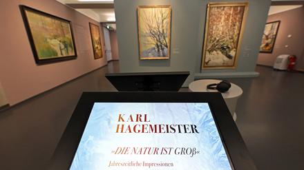 „Die Natur ist groß“. Die Hagemeister-Ausstellung im Potsdam Museum wurde bis Ende September verlängert 
