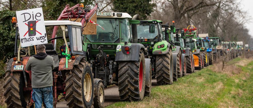 Die Ampel-Regierung hat mit der Streichung der Agrardiesel-Beihilfen den Zorn der Landwirte auf sich gezogen.