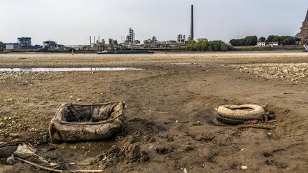Exremes Niedrigwasser des Rheins bei Emmerich (NRW) im November 2023.