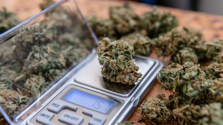 Der Besitz von Cannabis ist in Deutschland ab dem 1. April erlaubt. 