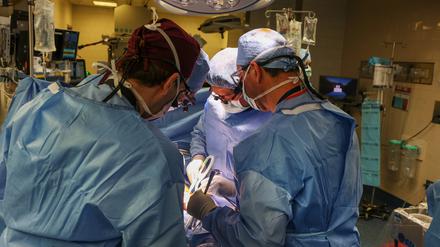 Ärzte arbeiten in einem OP-Raum bei der Transplantation einer Schweineniere im Massachusetts General Hospital. 