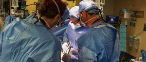 Ärzte arbeiten in einem OP-Raum bei der Transplantation einer Schweineniere im Massachusetts General Hospital. 