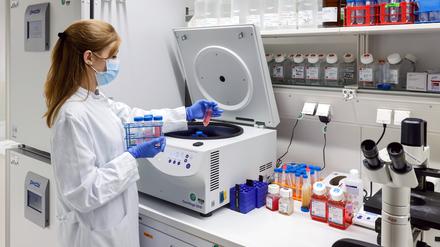 Eine Forscherin im Labor: Die Qualifikation von Doktorarbeit bis Habilitationsschrift brauchen viel Zeit, damit sie gut werden.