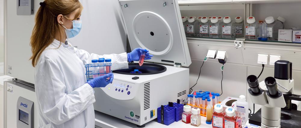 Eine Forscherin im Labor: Die Qualifikation von Doktorarbeit bis Habilitationsschrift brauchen viel Zeit, damit sie gut werden.