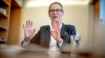 Co-Fraktionsvorsitzende und Bundessprecherin der AfD: Alice Weidel.