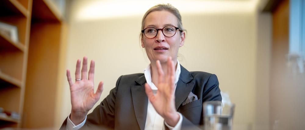 Co-Fraktionsvorsitzende und Bundessprecherin der AfD: Alice Weidel.