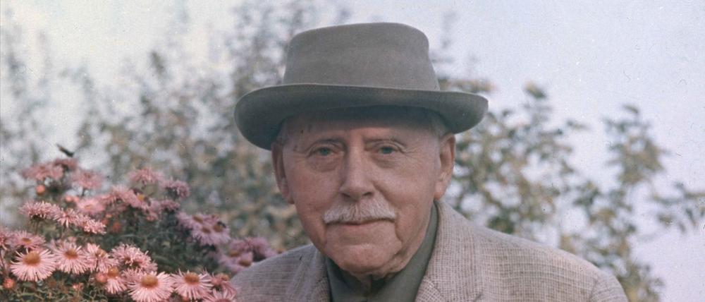 Dem Staudenzüchter Karl Foerster ist jetzt auch im Pavillon der Freundschaftsinsel eine Ausstellung gewidmet.