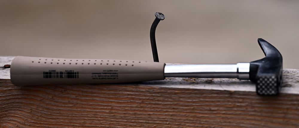 Der Fachkräftemangel trifft Unternehmen in Ostdeutschland nach Einschätzung des Ifo-Instituts stärker als im Rest Deutschlands.